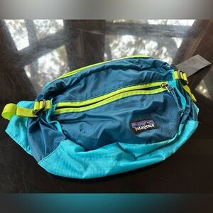 Patagonia Blue and Neon Green Hip Pack